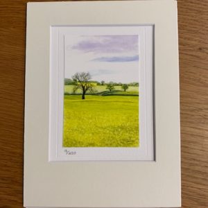 Fields Of Glory gift card and white mount